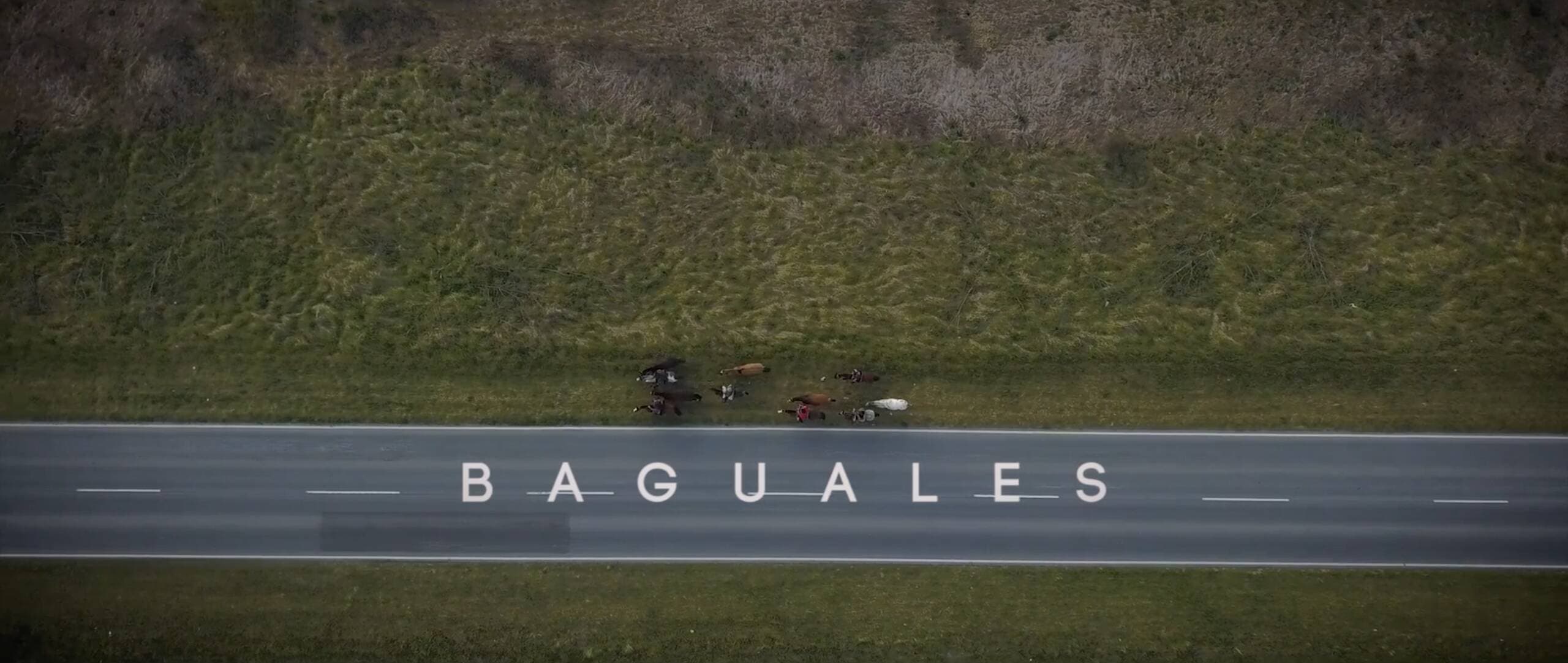 Baguales